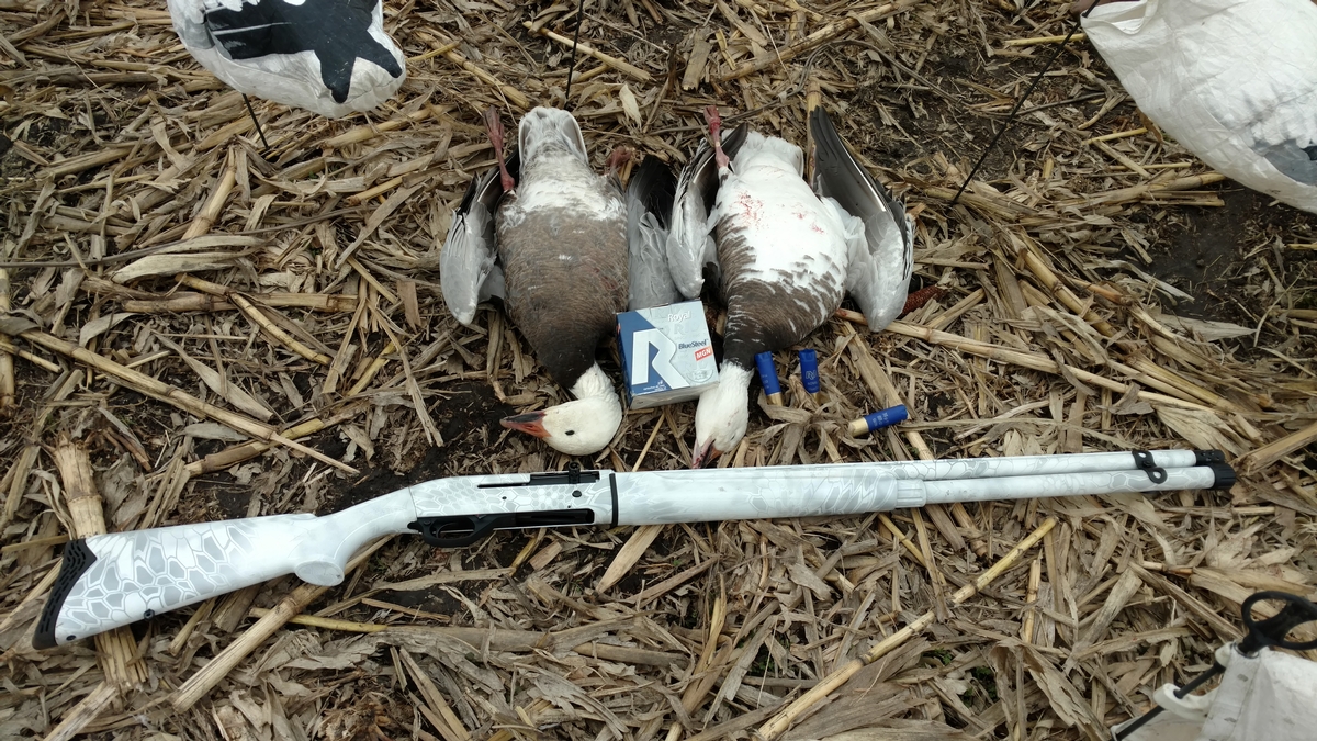 Missouri Snow Goose Hunting Photo